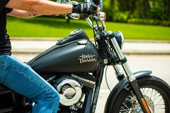 Harley Davidson Throttle Lock